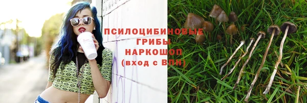 бутират Абаза
