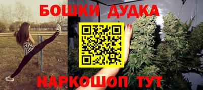 mdpv Владикавказ