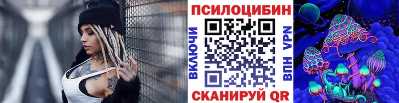 магазин наркотиков Киржач Псилоцибиновые грибы мицелий