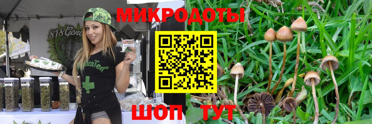 Псилоцибиновые грибы MAGIC MUSHROOMS  Вход с VPN  Киржач 